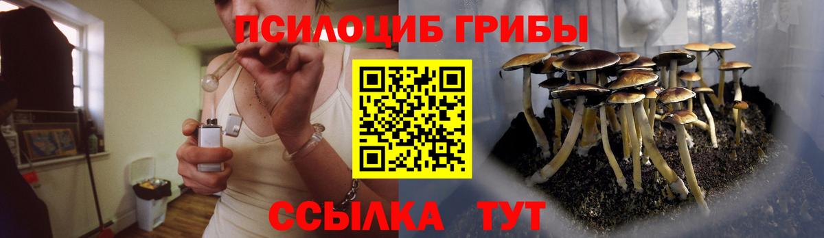 Галлюциногенные грибы мухоморы Малоярославец